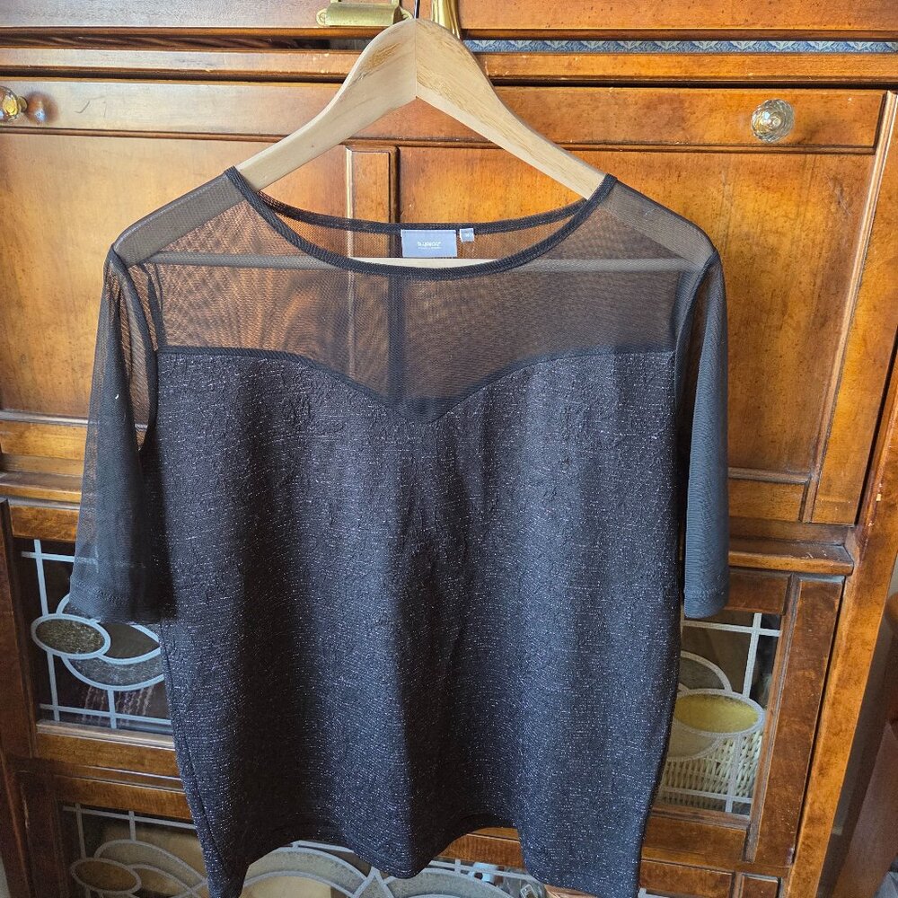 Beautiful B. Young Mesh and metallic Blouse
